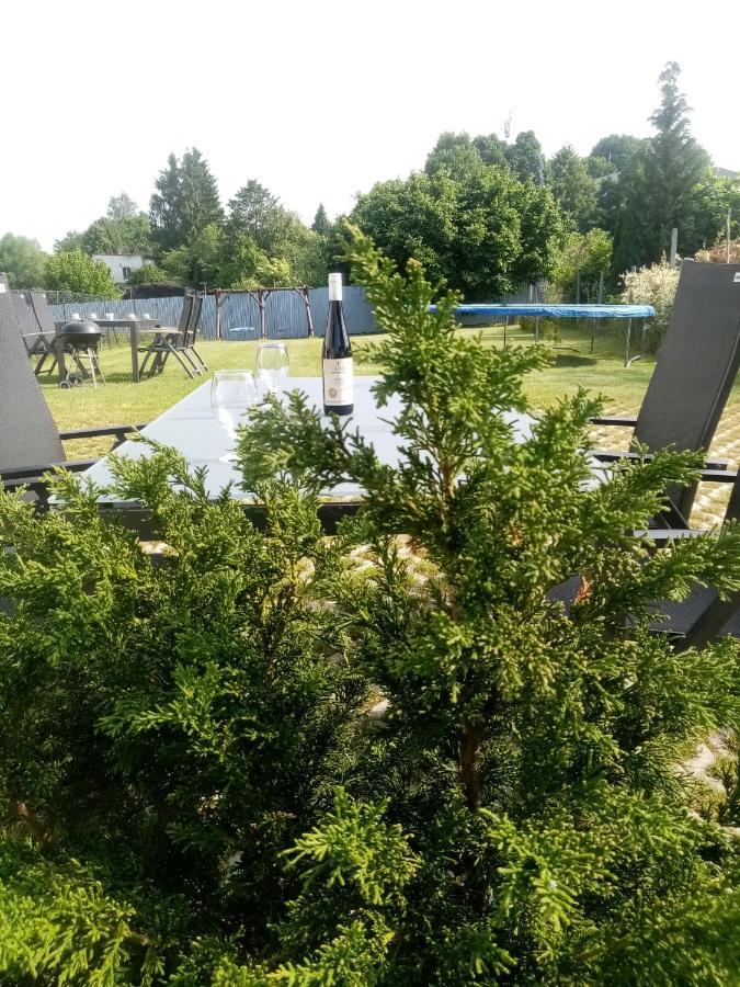 Apartmany Kohoutek A Slepicka V Novohradskych Horach Nové Hrady Екстериор снимка
